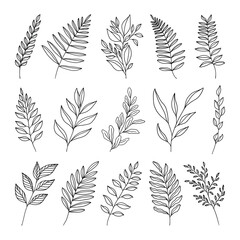 Set of leaves illustration vector