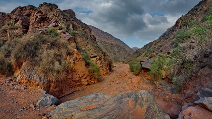 Obraz premium Northern Kyrgyzstan. Picturesque winding trails of the Kok Moinok canyons with red-brown rock along the Chu River.