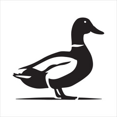 Duck, Vector, silhouette