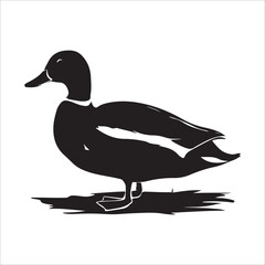 Duck, Vector, silhouette