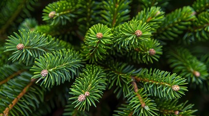 pine needles