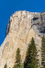 Views of El Capitan in Yosemite National Park taken from the valley floor in the meadow. Pictures taken during the summer,