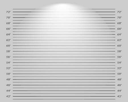 Line up mugshot background with lighting effect. Police height chart for photoshoot of wanted, arrested or suspected person identification. Crimanal profile template. Vector graphic illustration.