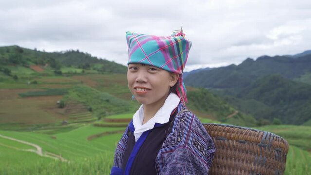 A farmer with fresh paddy rice, green agricultural fields in countryside or rural area of Mu Cang Chai, mountain hills valley in Asia, Vietnam. Nature landscape. People lifestyle.
