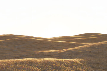 Fototapeta premium paisaje de campo plantación de cereales al amanecer atardecer