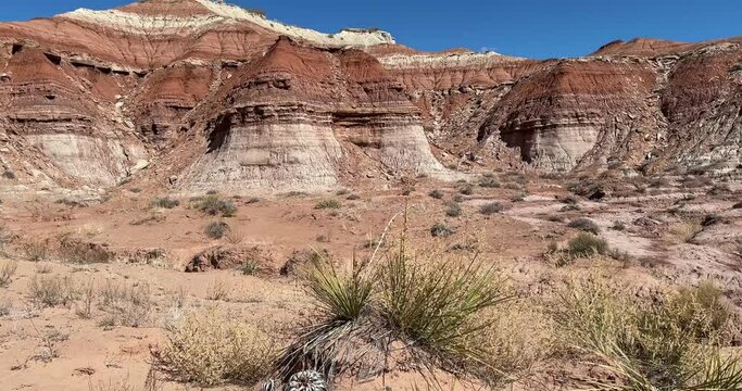 Hiking trail scenery of the Toadstool rock trail - Grand Staircase Escalante National Monument Utah. Panning shot
