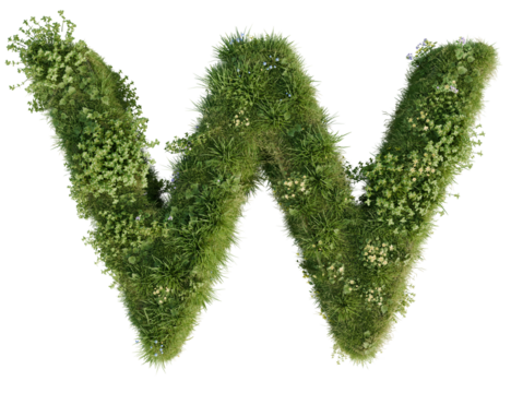 Floral Letter W on a transparent background. 3D render.