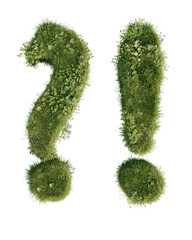 Floral Letter question mark on a transparent background. 3D render.