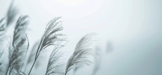 Obraz premium The leaves have a light grey background, a minimalist style design with plants. Abstract background, generative AI.