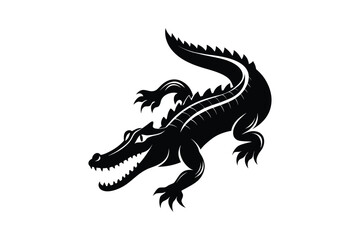 black and white Alligator