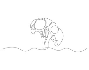 Continuous one line drawing of broccoli. One line drawing illustration of whole healthy organic green broccoli. fresh vegetable concept continuous line art. Editable outline.
