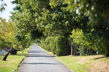 浜寺公園の風景