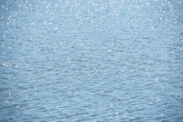 浜寺公園の風景