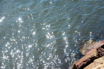 浜寺公園の風景