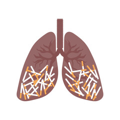 Unhealthy smoker lungs with cigarettes 