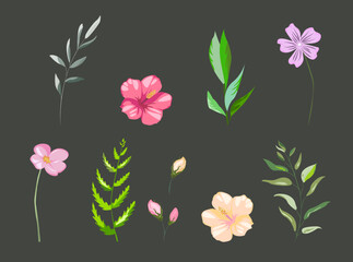 Floral collection with exotic tropical leaves and flowers. Simple romantic elements for sticker textile or print. Vector design isolated elements on the dark background. Monstera.