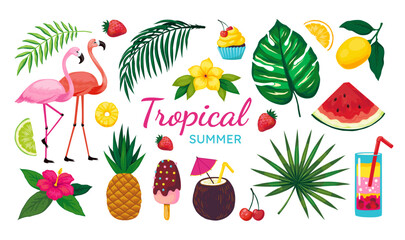 Beach party elements. Summer travel vacation. Tropical leaves. Coconut cocktail. Exotic flowers. Flamingo birds. Hawaiian or Caribbean fruits. Hawaii island drink. Summertime vector set