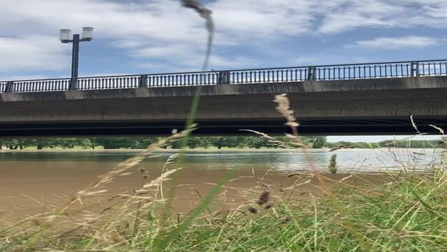 Mannheim bei Hochwasser