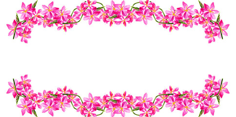 Cornice con fiori rosa ad acquerello, illustrazione isolata su sfondo bianco
