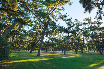 浜寺公園の風景
