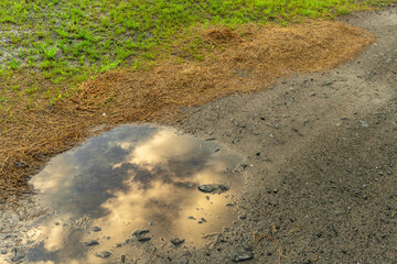 Puddles on village road in color sunset evening in Roprachtice