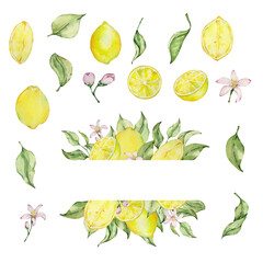 Watercolor lemon frame set with fruit, slice, leaves and flowers