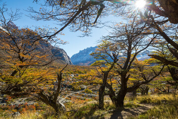 Fototapeta premium Autumn in Patagonia