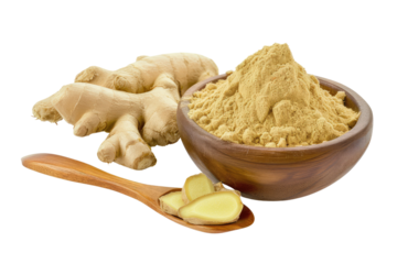 Fresh and dried ginger. Whole and grated ginger root with wooden spoon isolated on transparent background