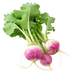 Fresh organic purple turnips with green leaves isolated on transparent background