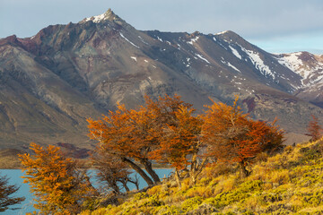 Autumn in Perito Moreno