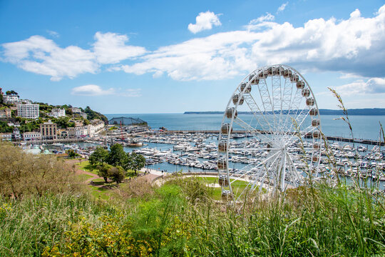 Torquay, Devon, uk. 05-31-24. Torquay landscape image of the big wheel and marina. Popular tourist location.