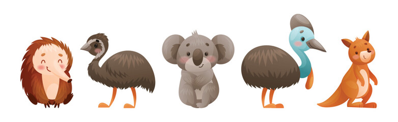Cute Australian Animals and Endemic Fauna Vector Set