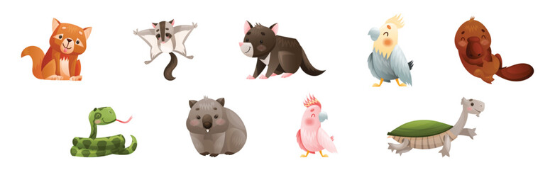 Cute Australian Animals and Endemic Fauna Vector Set