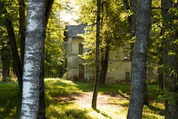 An old cottage in the woods. A house in a wooded area. An old house among green trees.