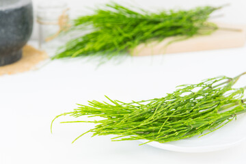 Field horsetail or common horsetail, equisetum arvense