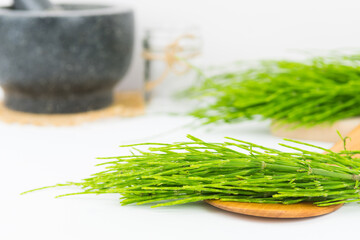 Field horsetail or common horsetail, equisetum arvense