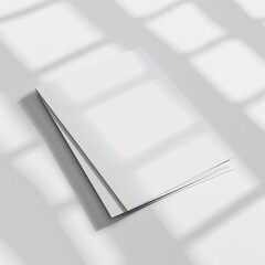 Flyer mockup on a white background