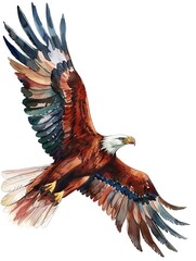 Obraz premium eagle in flight