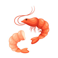 Whole Shrimp And A Peeled Shrimp Isolated On White Background. Cartoon Vector Illustration Of Prawns For Seafood Menus