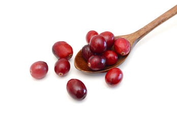 Cranberry isolated on white background