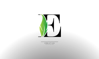 Letter E eco leaf logo icon design template elements. Vector color sign
