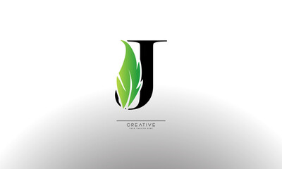Letter J eco leaf logo icon design template elements. Vector color sign

