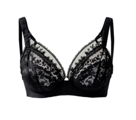 black lace bra isolated