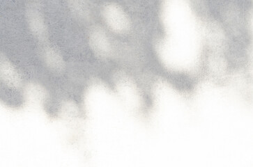 Abstract empty background. Close-up of shadows with leaves on white wall. Overlay on product presentation backdrop