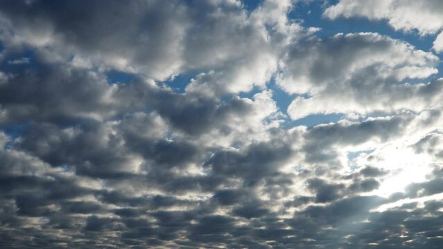 Altocumulus, middle-altitude cloud genus, stratocumuliform physical category, characterized by globular masses or rolls in layers or patches being larger and darker. Airmass instability. Real time.