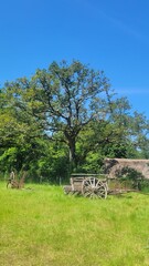 Kerhinet, Parc Naturel R&eacute;gional de Bri&egrave;re, Loire Atlantique, Pays de Loire, France, Europe