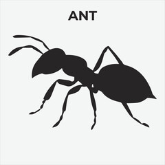 A Distinct Ant Silhouette for Multi-Format Designs. Vector Illustration