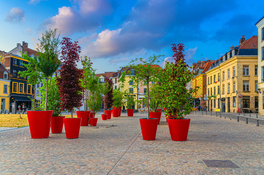 Trees in big red pots in park on paving stone square, Vieux Lille old town quarter with empty street and old colorful buildings in historical city centre, French Flanders, Nord department, France