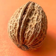 Obraz premium Whole Nutmeg Showing Off Brown Textured Shell
