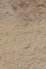 concrete wall background close up	

